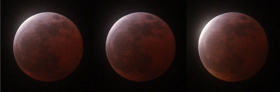 MoonEclipse3.jpg